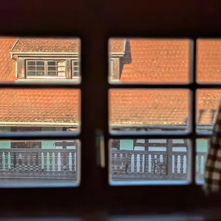 Appartement Les Perles Du Ried - 9 Proche Europa-park Boofzheim