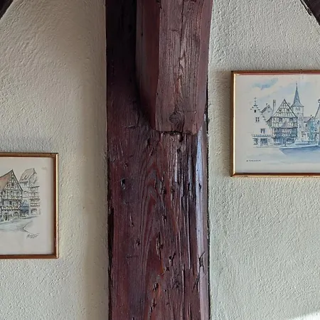 Les Perles Du Ried - 9 Proche Europa-park * Boofzheim