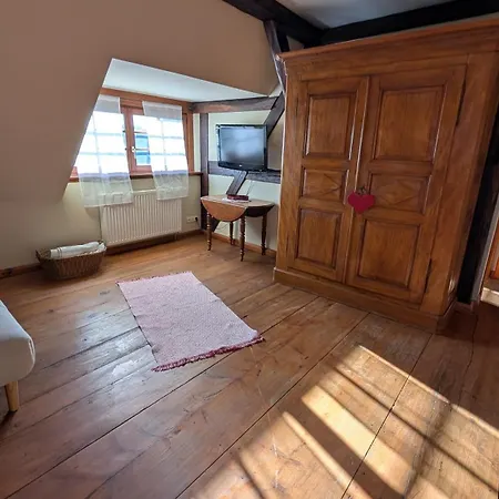 Les Perles Du Ried - 9 Proche Europa-park Appartement *