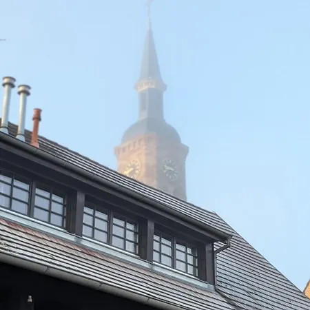 Appartement Les Perles Du Ried - 9 Proche Europa-park