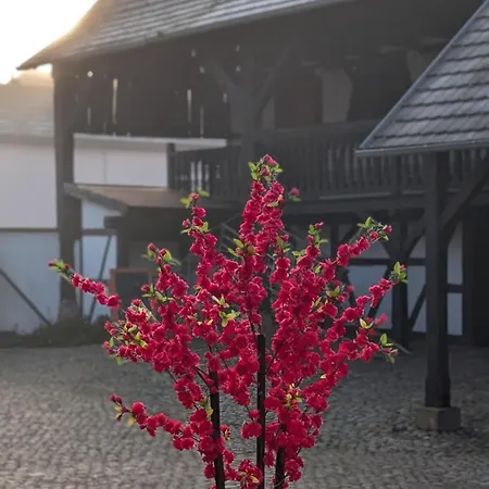 Appartement Les Perles Du Ried - 9 Proche Europa-park Boofzheim